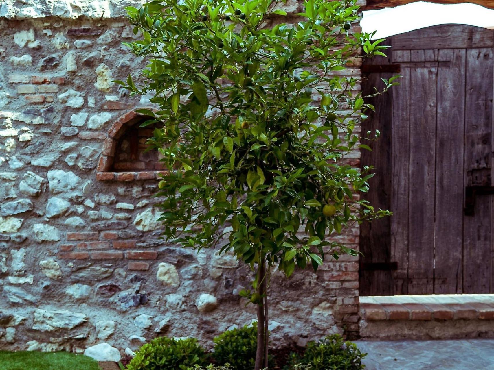 Villa Fontanelle Gardapartments Polpenazze del Garda Buitenkant foto